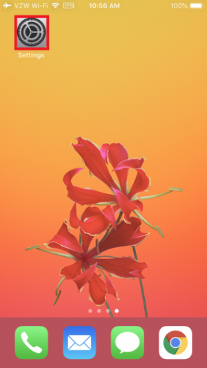 IPhone1.png